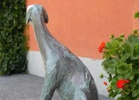 Windhund